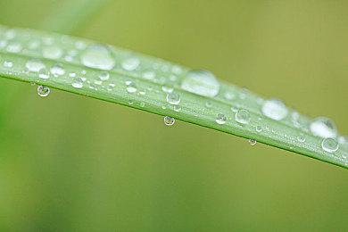 SE官方发布《漫威复仇者》黑豹免费DLC最新宣传片 